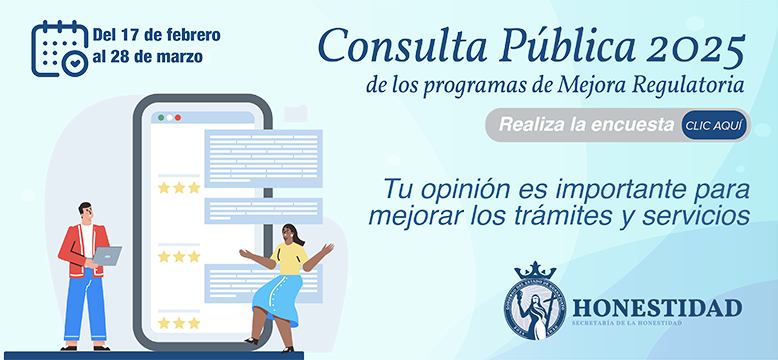 Consulta Pública