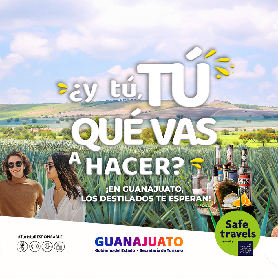 ¿y tú, TÚ QUÉ VAS A HACER? ¡Vamos a los Viñedos!