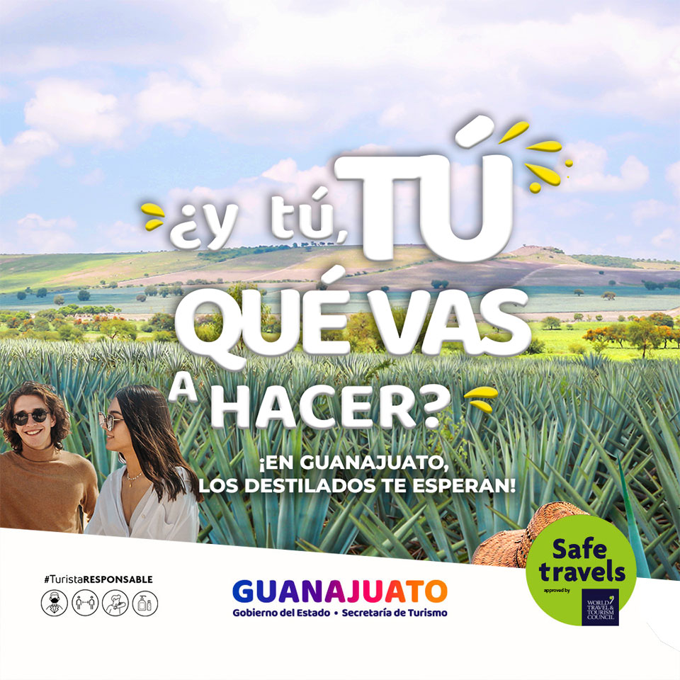 ¿y tú, TÚ QUÉ VAS A HACER? ¡Vamos a los Destilados!