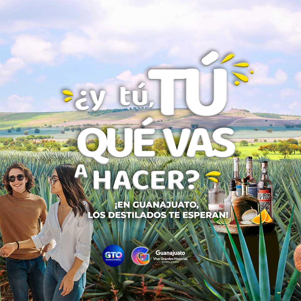 ¿y tú, TÚ QUÉ VAS A HACER? ¡Vamos a conocer los viñedos de Guanajuato!