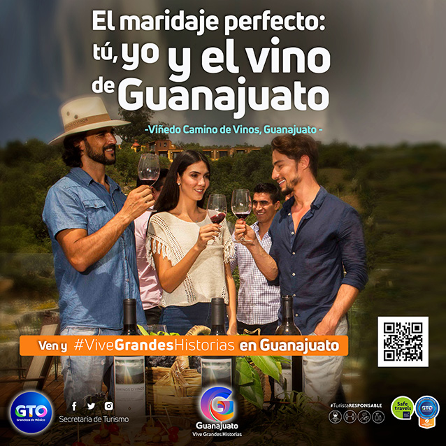 Viñedo en camino de Vinos en Guanajuato