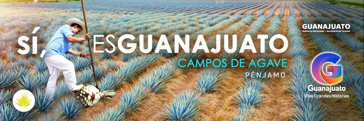 Si es Guanajuato Campos de Agave - Penjamo Sectur